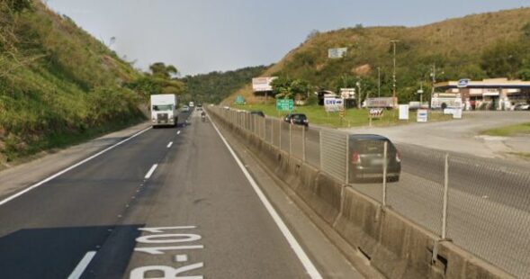 BR-101 Rio Bonito animal rodovias