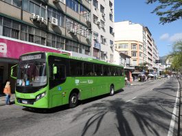 Bus Verde