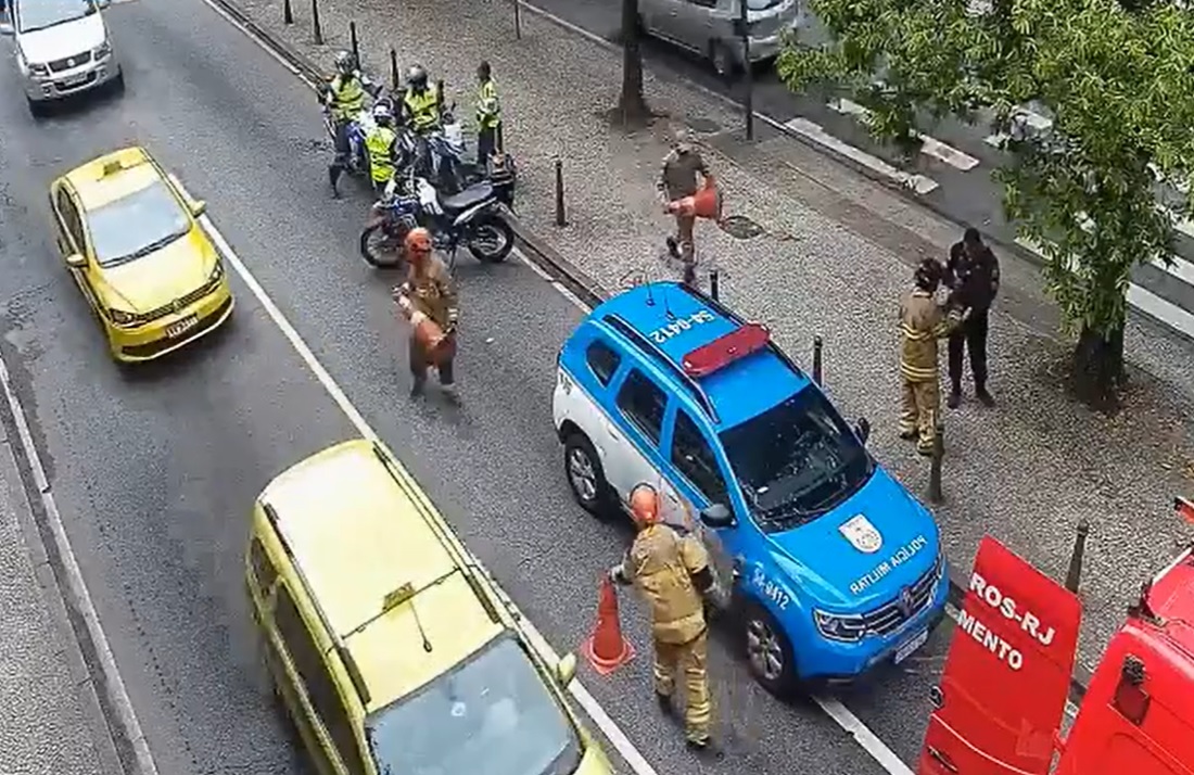 pinheiro acidente