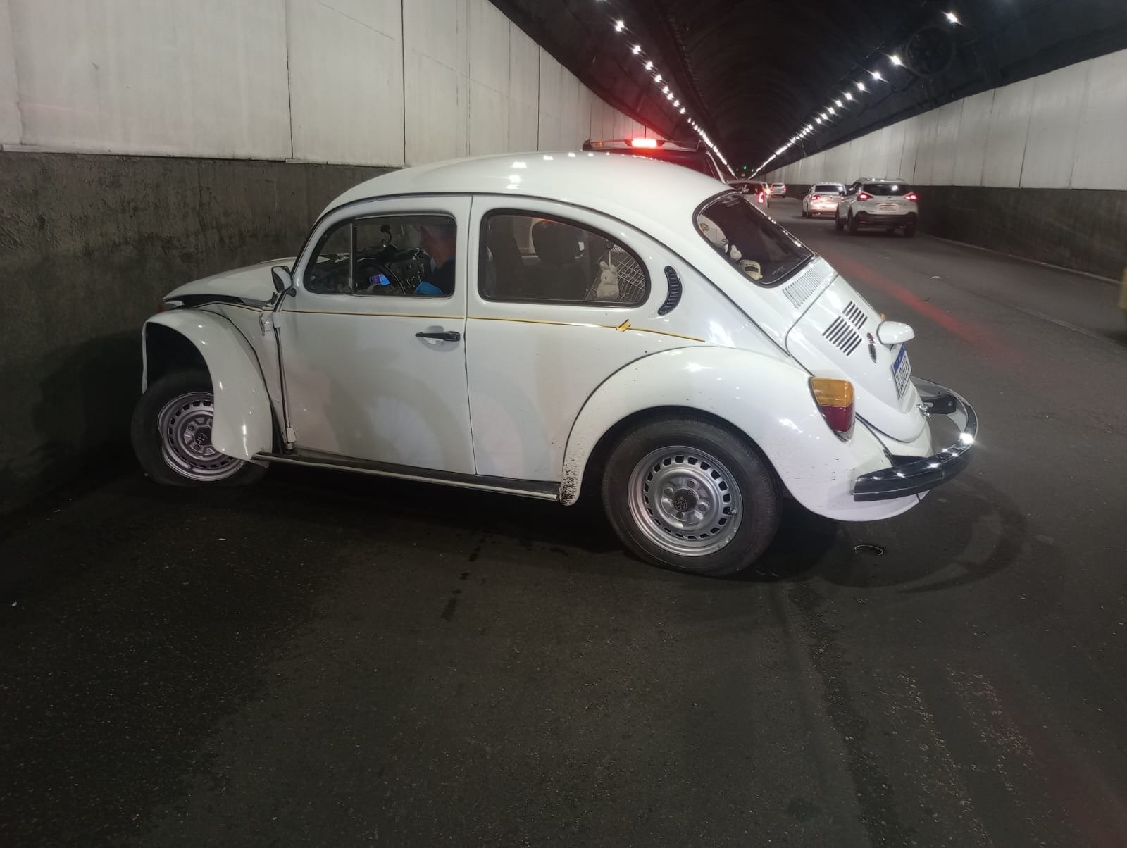 fusca branco