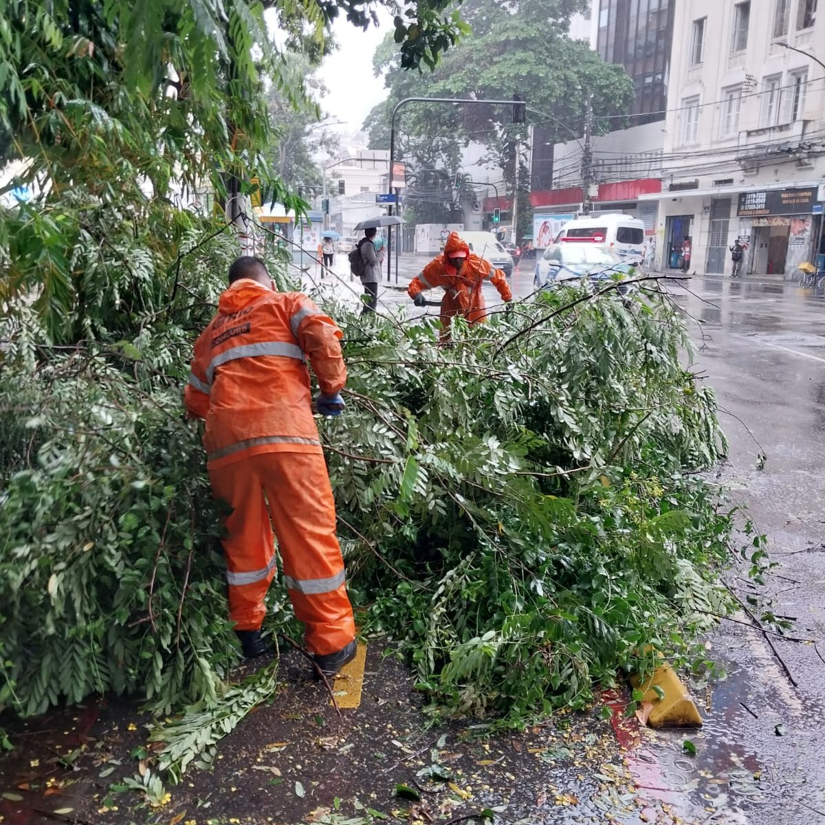 para remoção de galho