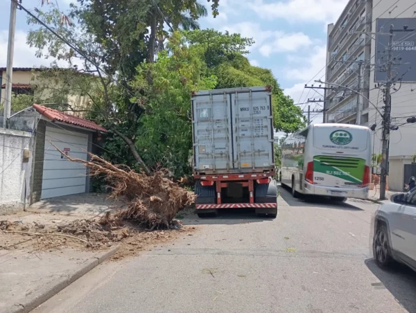 Acidente entre carreta e árvore causa lentidão na Rua Baicuru em Campo Grande