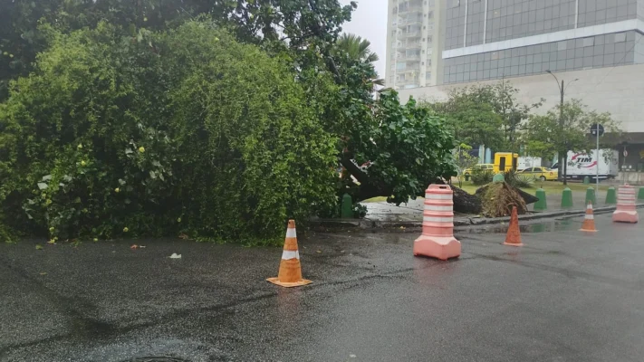 Uma faixa da Rua Martinho de Mesquita