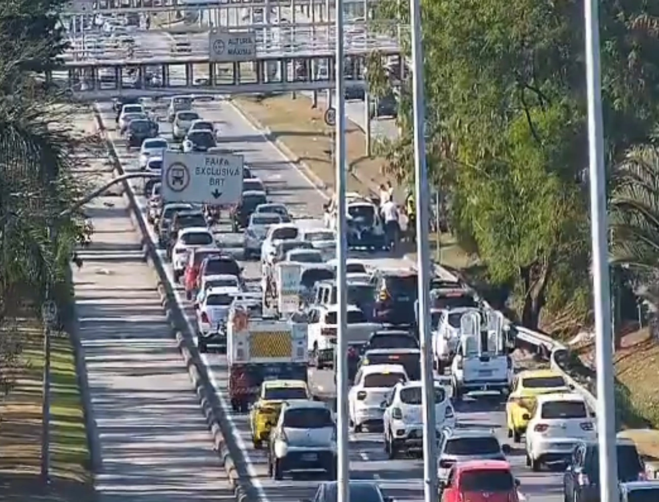 avenida ayrton senna domingo