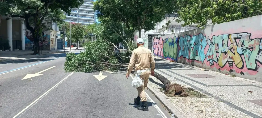 QUEDA DE ÁRVORE avenida HENRIQUE VALADARES