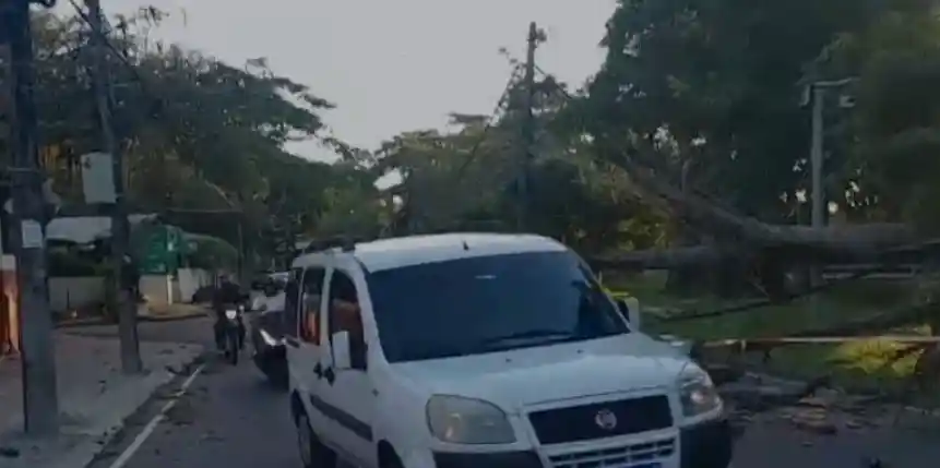 QUEDA DE ÁRVORE INTERDITA PARCIALMENTE ESTRADA DA BARRA DA TIJUCA