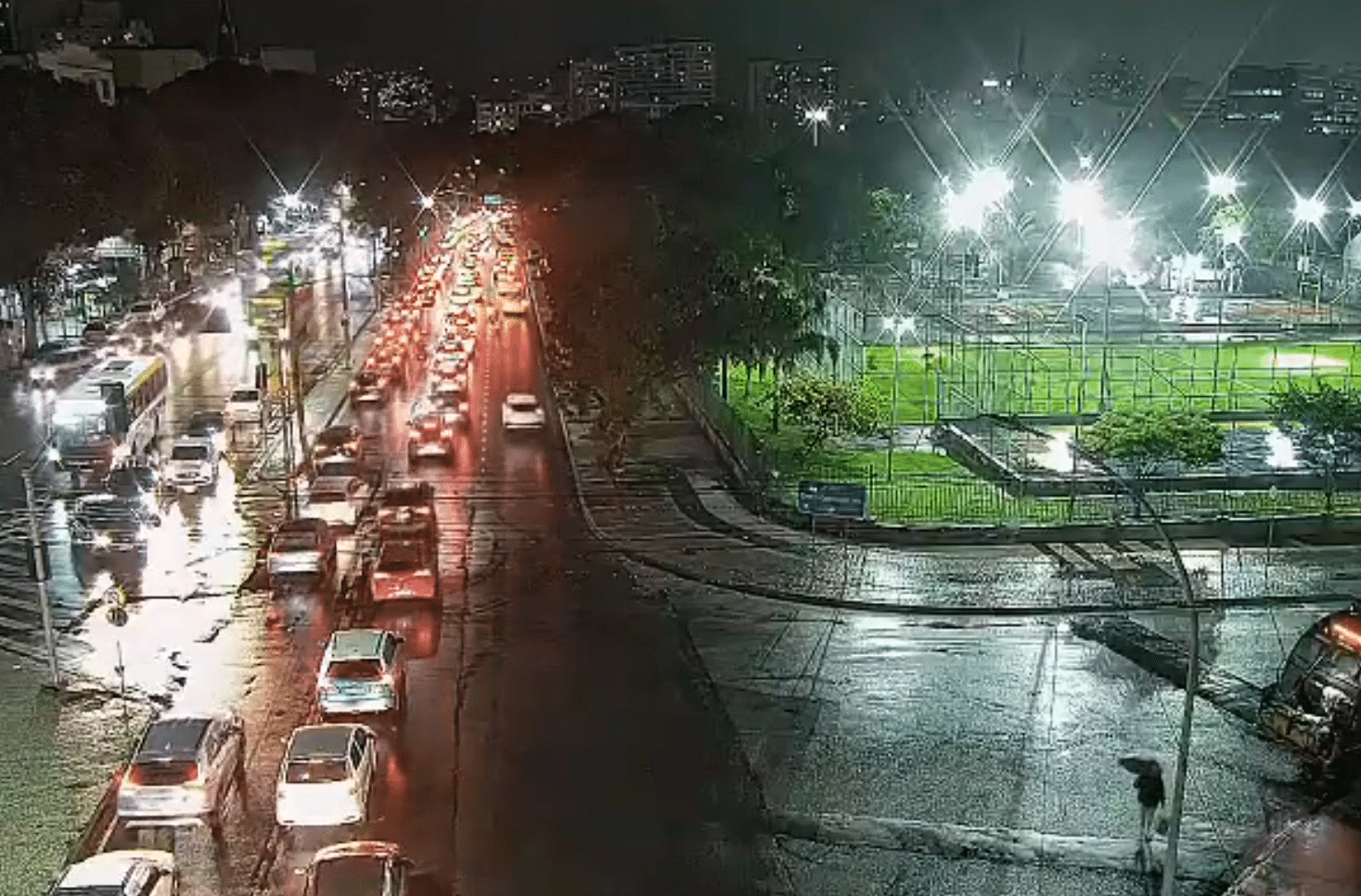 RUA JOAQUIM PALHARES